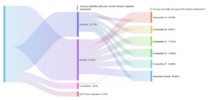 ViralGains Zero-Party Ads Audience Insights Sankey Chart