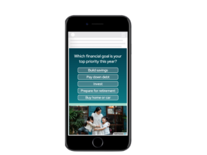 viralgains display survey asking about financial priorities